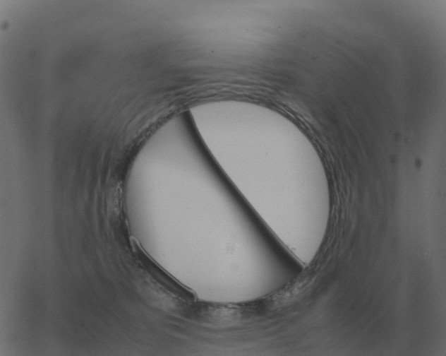 X0000067890325200604271833