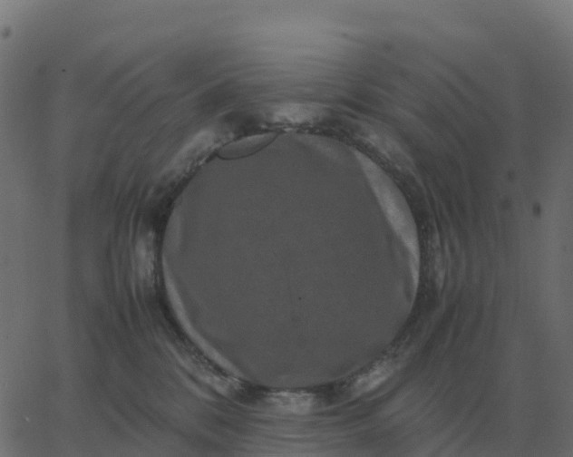 X0000067890328200604271833