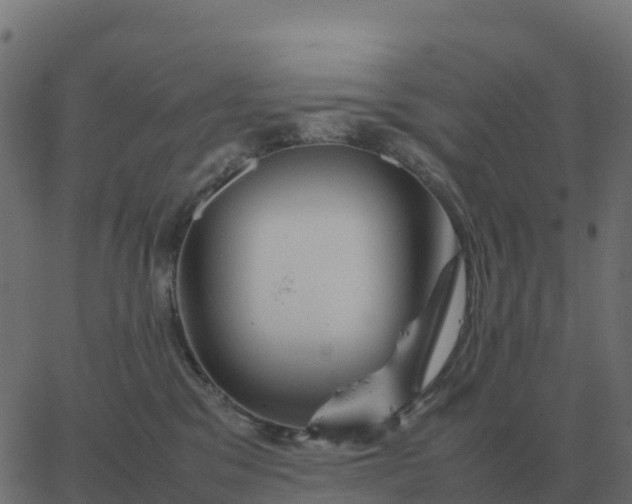 X0000067890329200604271833