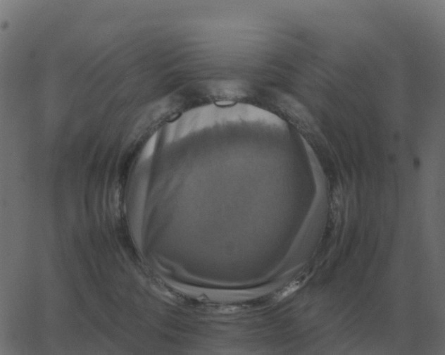 X0000067890330200604271833