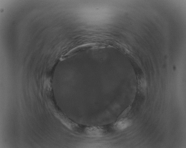 X0000067890331200604271833