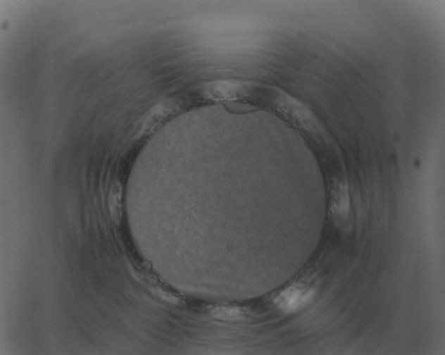 X0000067890332200604271833