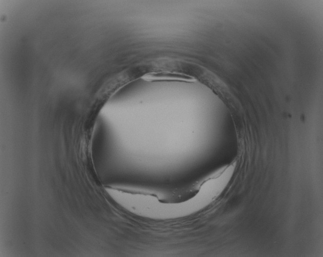 X0000067890333200604271833