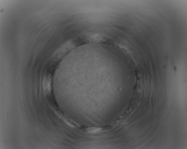 X0000067890334200604271833