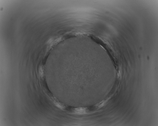 X0000067890335200604271833