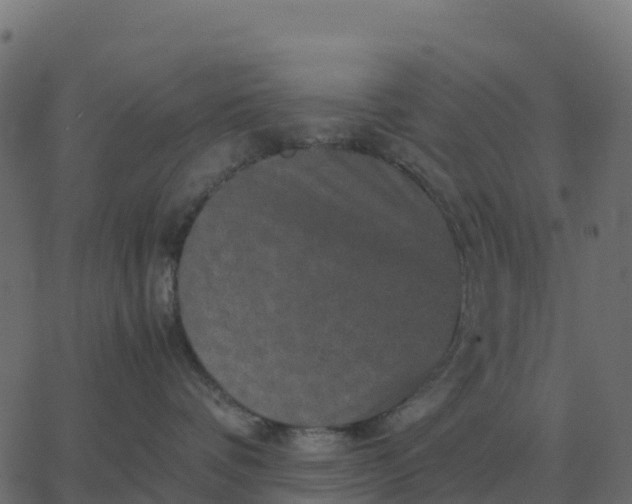 X0000067890336200604271833