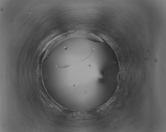 X0000067890338200604271832