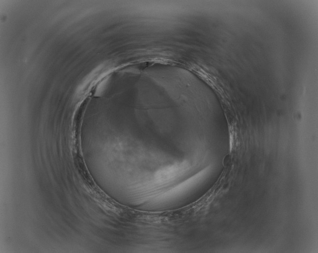 X0000067890339200604271832