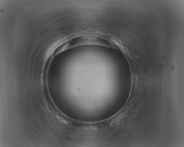 X0000067890340200604271832