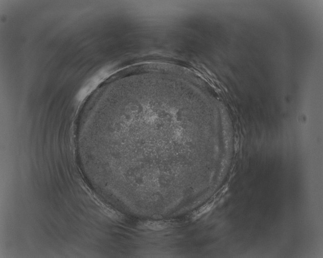 X0000067890341200604271832