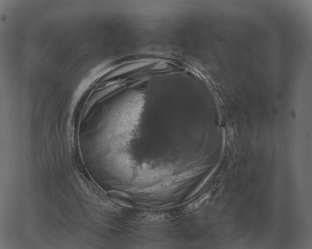 X0000067890343200604271832