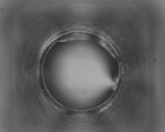 X0000067890344200604271832