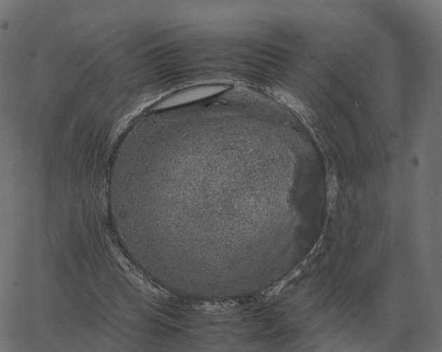 X0000067890345200604271832