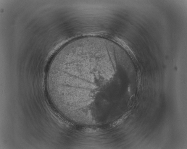 X0000067890346200604271832