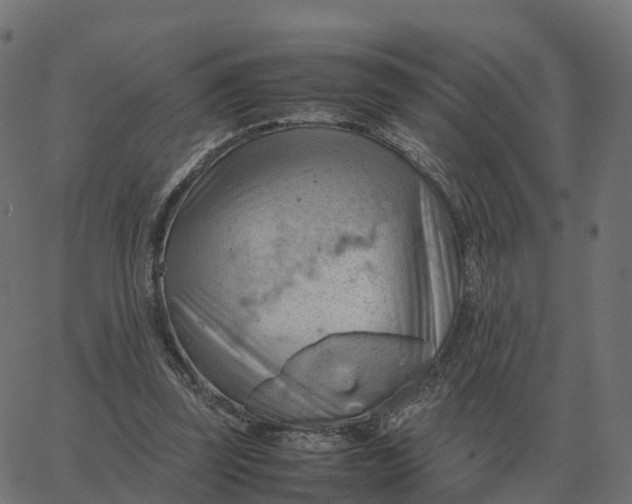 X0000067890347200604271832