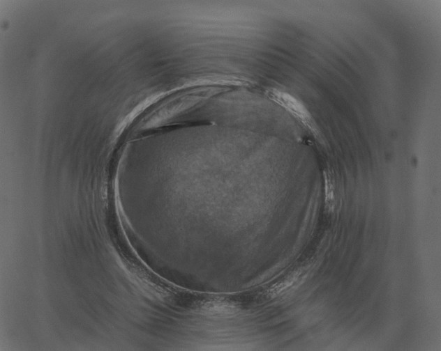 X0000067890348200604271832