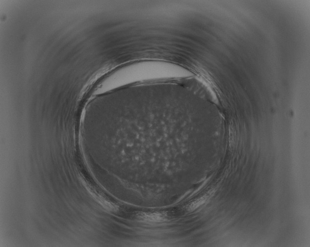 X0000067890349200604271832