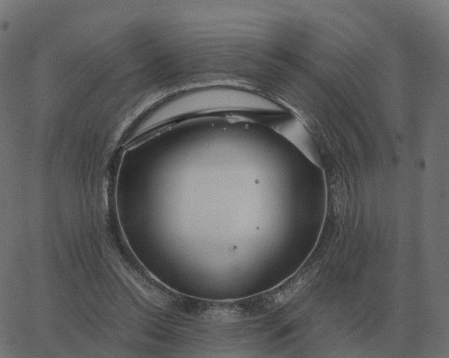 X0000067890350200604271832