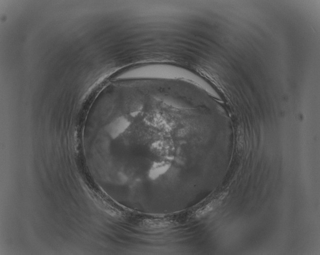 X0000067890351200604271832