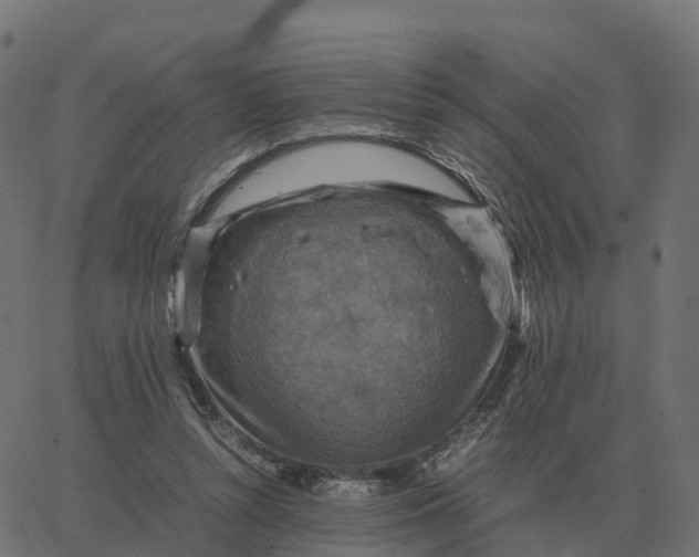 X0000067890352200604271832