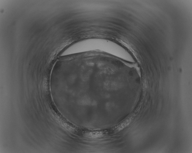 X0000067890353200604271832