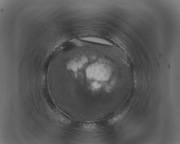 X0000067890355200604271832