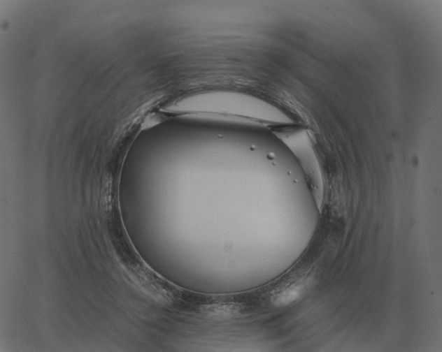 X0000067890356200604271832