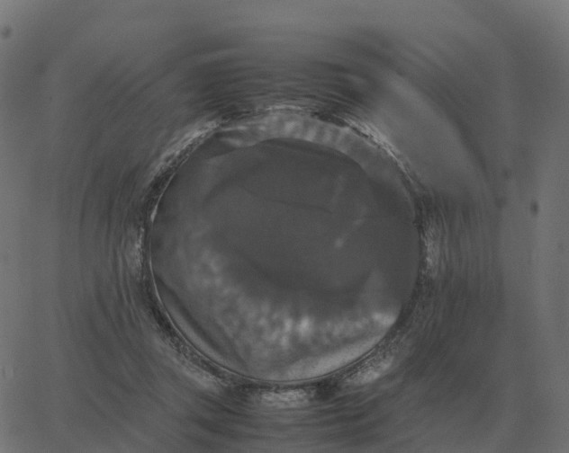 X0000067890357200604271832