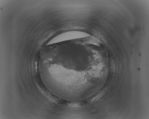 X0000067890358200604271832