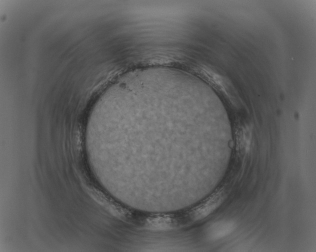 X0000067890362200604271832