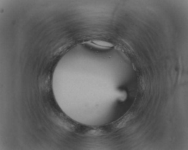 X0000067890364200604271832