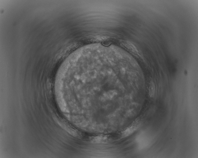 X0000067890366200604271832