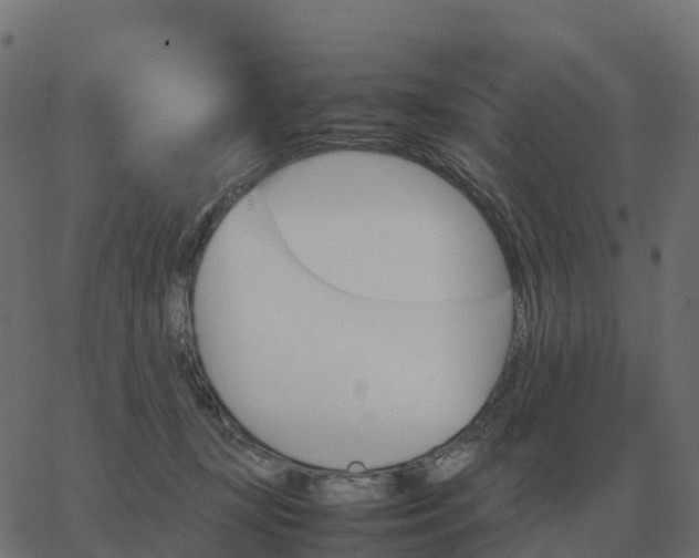 X0000067890367200604271832