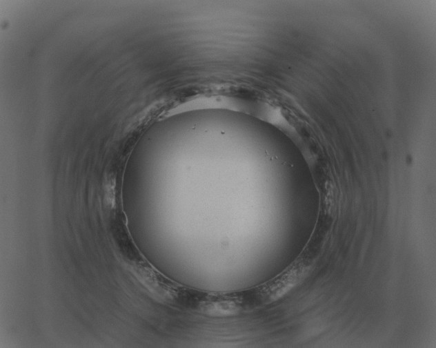 X0000067890368200604271832