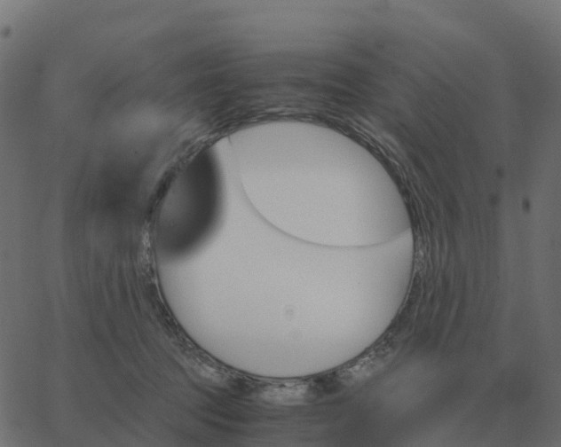 X0000067890369200604271832