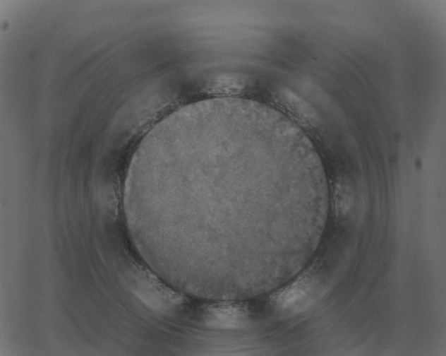 X0000067890370200604271832