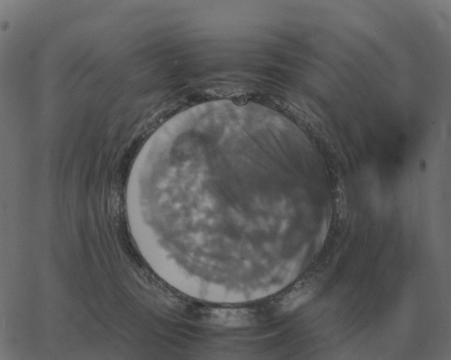 X0000067890371200604271832