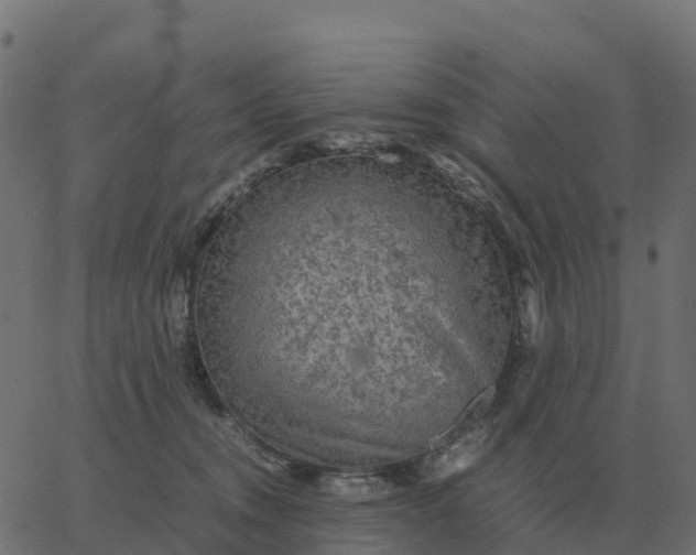 X0000067890372200604271832