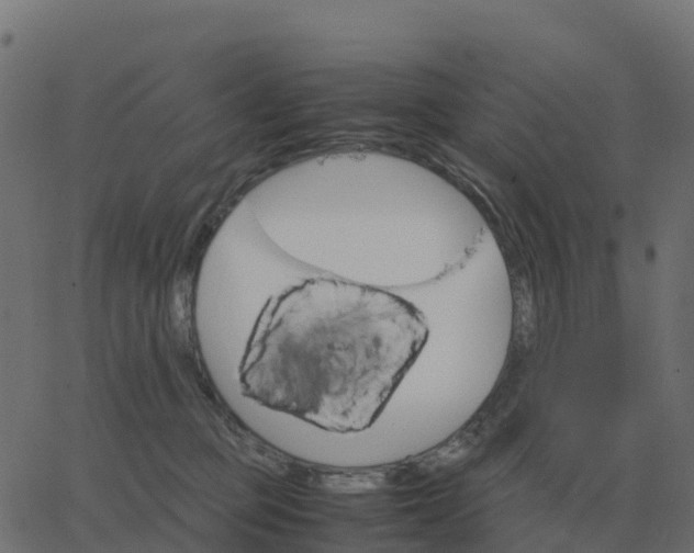 X0000067890373200604271833