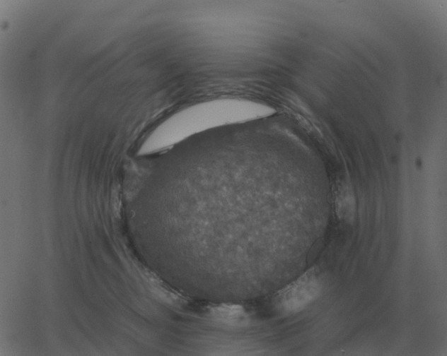 X0000067890374200604271833