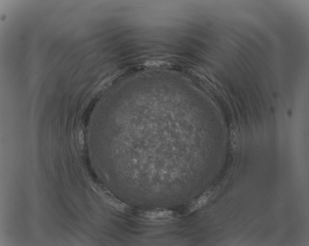 X0000067890375200604271833