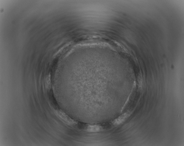 X0000067890376200604271833