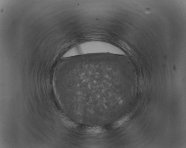 X0000067890377200604271833