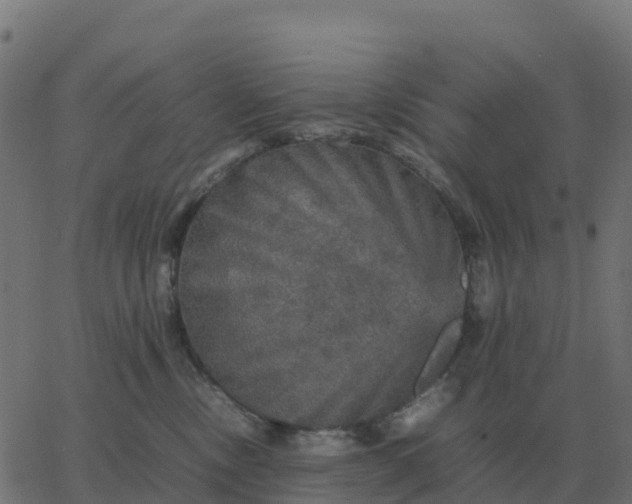 X0000067890378200604271833