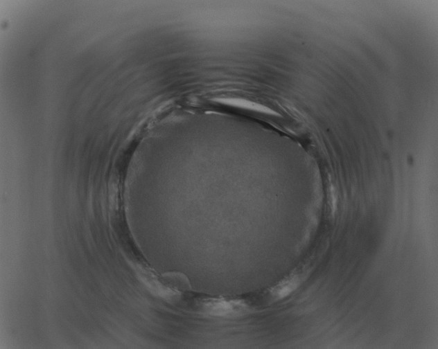 X0000067890379200604271833