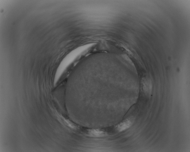 X0000067890380200604271833