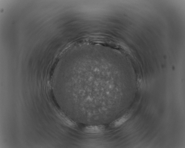 X0000067890381200604271833