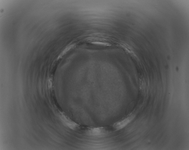 X0000067890382200604271833