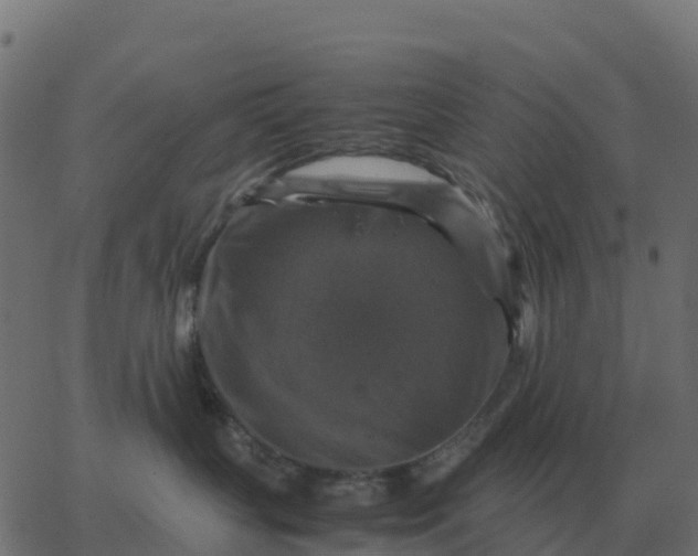 X0000067890383200604271833