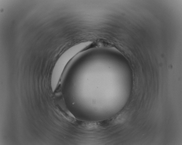 X0000067890384200604271833